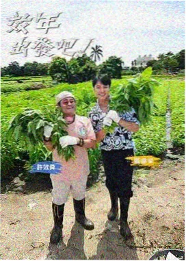综艺 午夜大赏